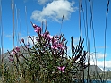 Colle Del Moncenisio - Diga di Contenimento e Lago_046